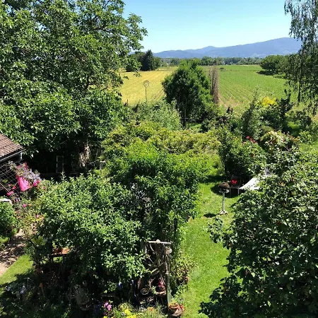 Appartement Haus Schwarzwaldblick à Achern Extérieur photo